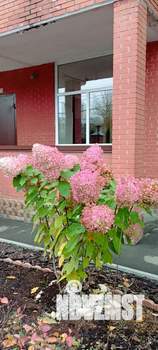 1-к квартира, на длительный срок, 40м2, 11/13 этаж