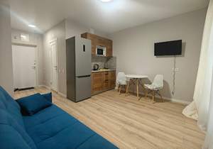 Студия квартира, на длительный срок, 23м2, 7/17 этаж