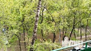 1-к квартира, посуточно, 30м2, 4/5 этаж