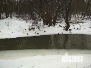 Студия квартира, на длительный срок, 44м2, 7/18 этаж