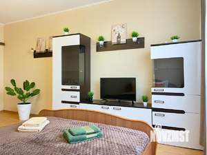 1-к квартира, посуточно, 50м2, 1/1 этаж