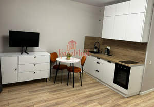 Студия квартира, на длительный срок, 22м2, 12/17 этаж