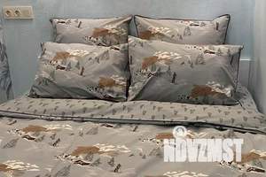 1-к квартира, посуточно, 29м2, 8/8 этаж