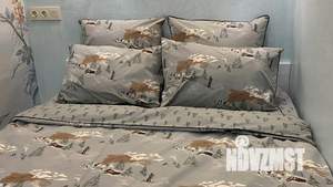 1-к квартира, посуточно, 29м2, 1/1 этаж