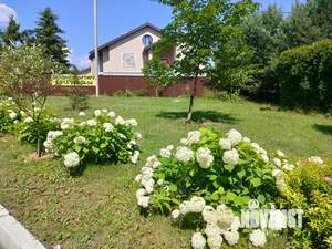 3-к квартира, на длительный срок, 60м2, 1/3 этаж