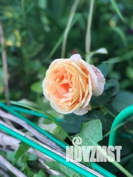 1-к квартира, посуточно, 33м2, 3/8 этаж