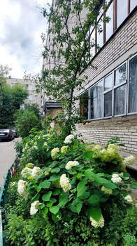 1-к квартира, вторичка, 30м2, 3/5 этаж