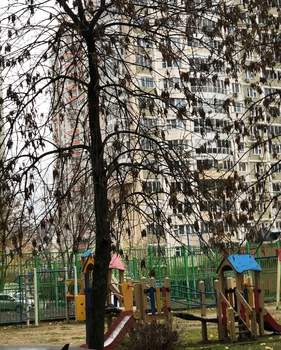 3-к квартира, вторичка, 77м2, 13/23 этаж