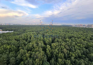 1-к квартира, вторичка, 49м2, 21/26 этаж