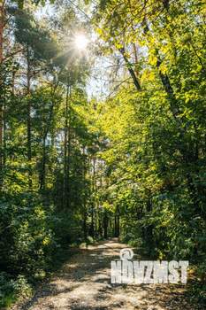 1-к квартира, вторичка, 35м2, 10/10 этаж